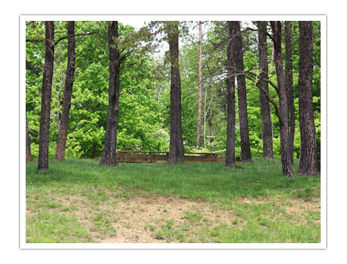 Pine Island